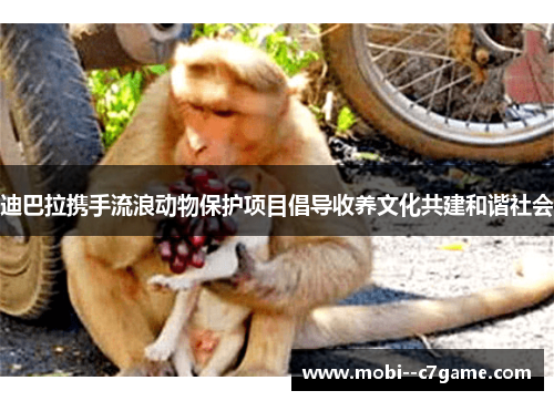 迪巴拉携手流浪动物保护项目倡导收养文化共建和谐社会