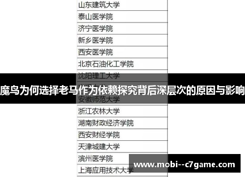 魔鸟为何选择老马作为依赖探究背后深层次的原因与影响